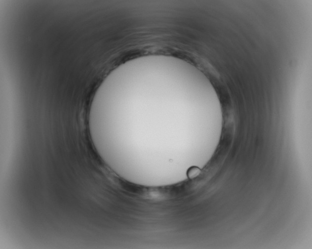 X0000114600565200910191056