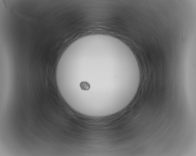 X0000114600566200910191056