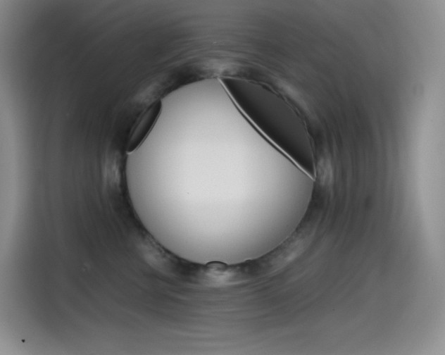 X0000114600570200910191056