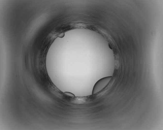 X0000114600573200910191056