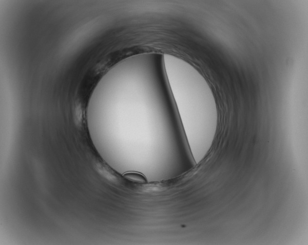 X0000114600574200910191056