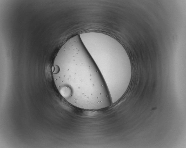 X0000114600575200910191056