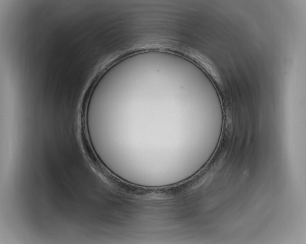 X0000114600578200910191056