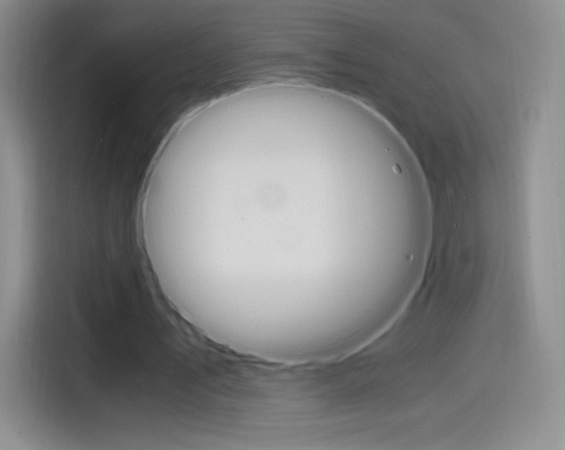 X0000114600579200910191056