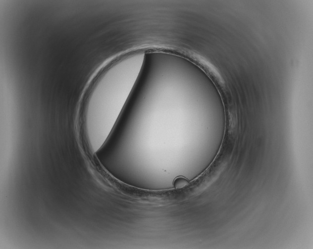 X0000114600580200910191056