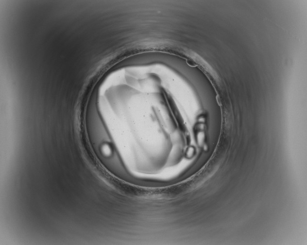 X0000114600581200910191056