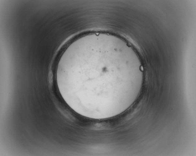 X0000114600584200910191056