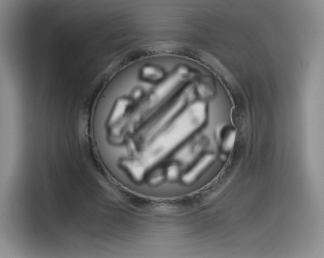 X0000114600585200910191056