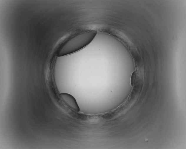 X0000114600587200910191056