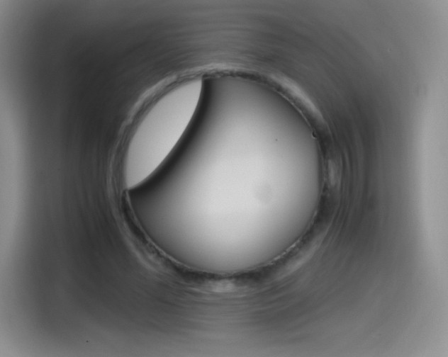 X0000114600588200910191056