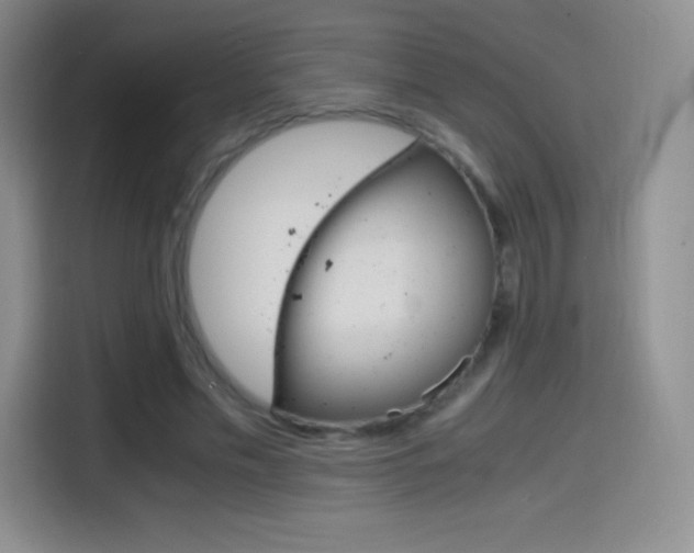 X0000114600589200910191056