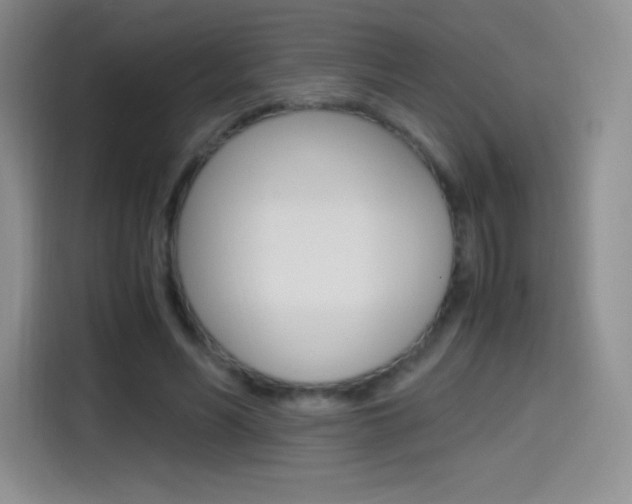 X0000114600590200910191056