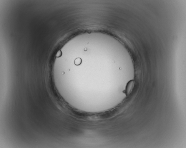 X0000114600591200910191056