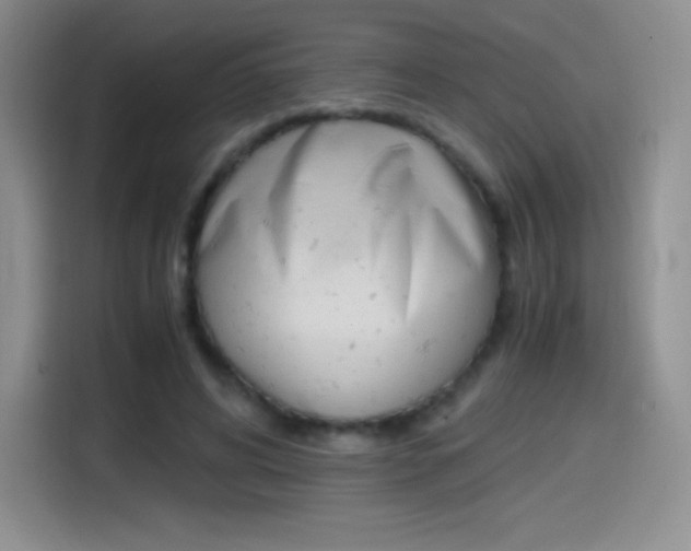 X0000114600592200910191056