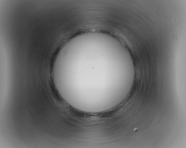 X0000114600594200910191056