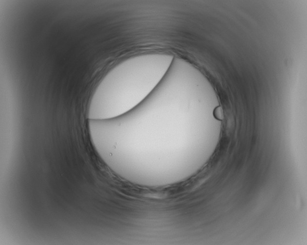 X0000114600595200910191056