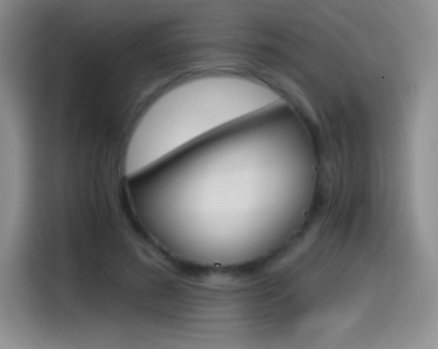 X0000114600596200910191055