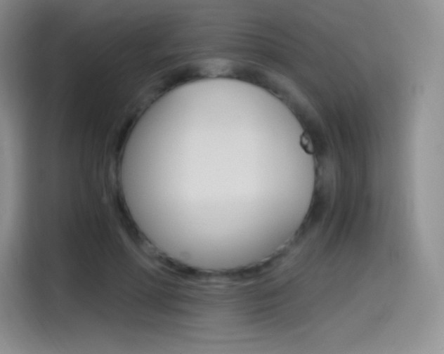 X0000114600598200910191055