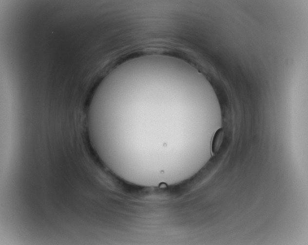 X0000114600601200910191055