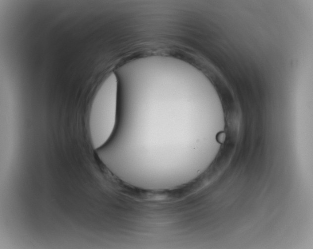 X0000114600602200910191055