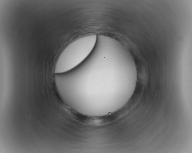 X0000114600610200910191055