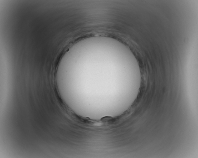 X0000114600611200910191055