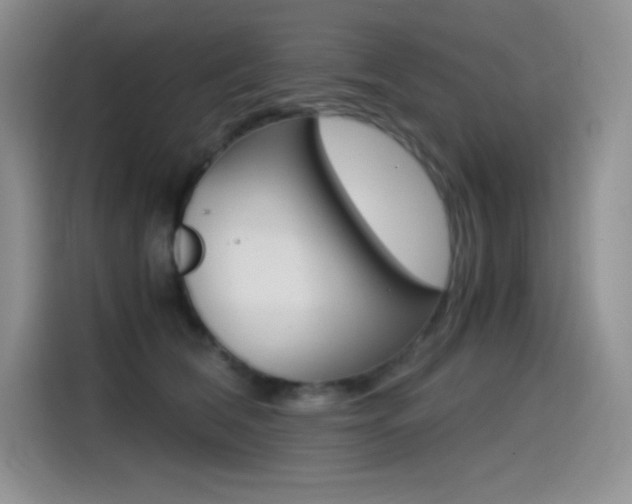 X0000114600612200910191055