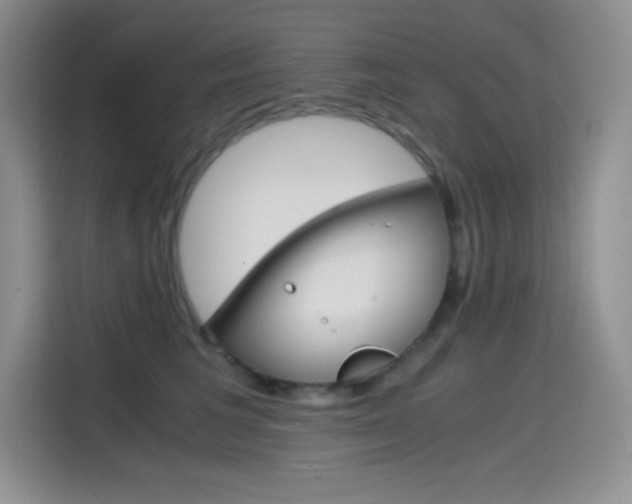 X0000114600613200910191055