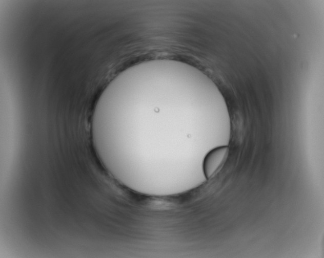 X0000114600614200910191055