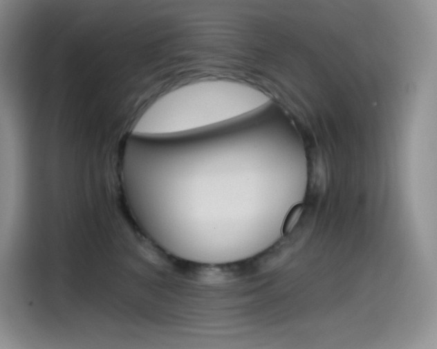 X0000114600616200910191055