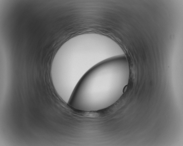 X0000114600617200910191055