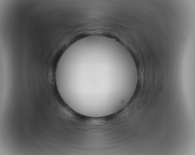 X0000114600619200910191055