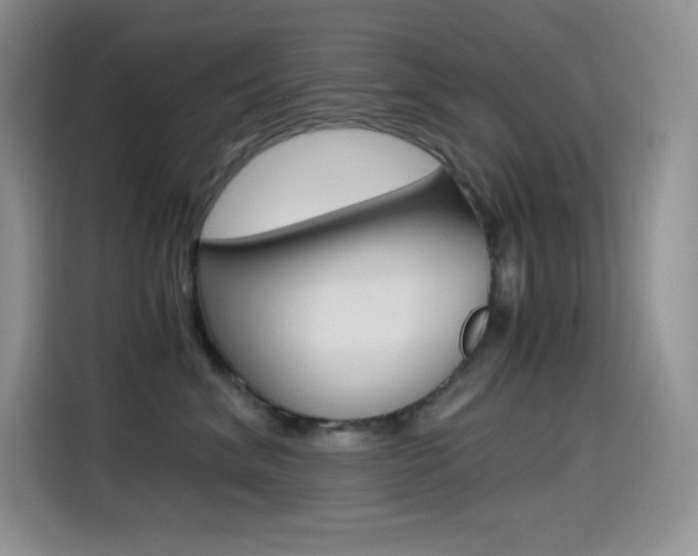 X0000114600620200910191055