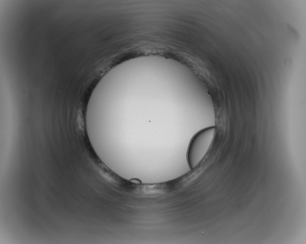 X0000114600622200910191055