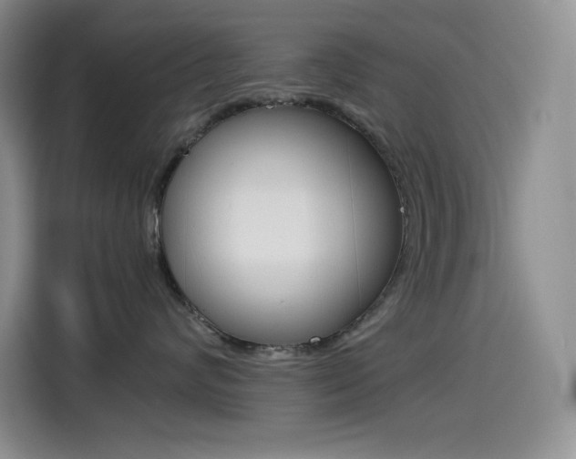 X0000114600624200910191055