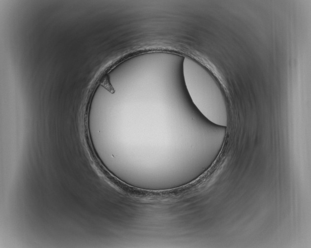 X0000114600625200910191054