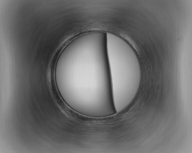 X0000114600626200910191055