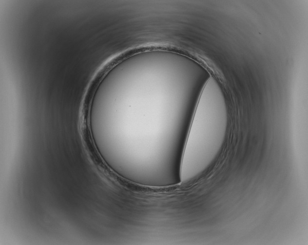 X0000114600628200910191055