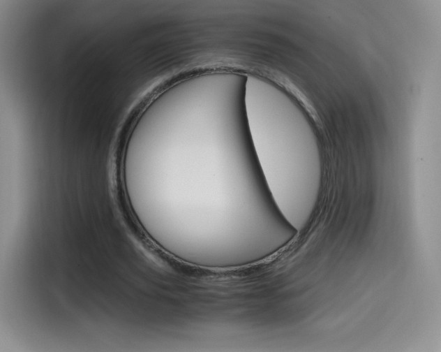 X0000114600629200910191055