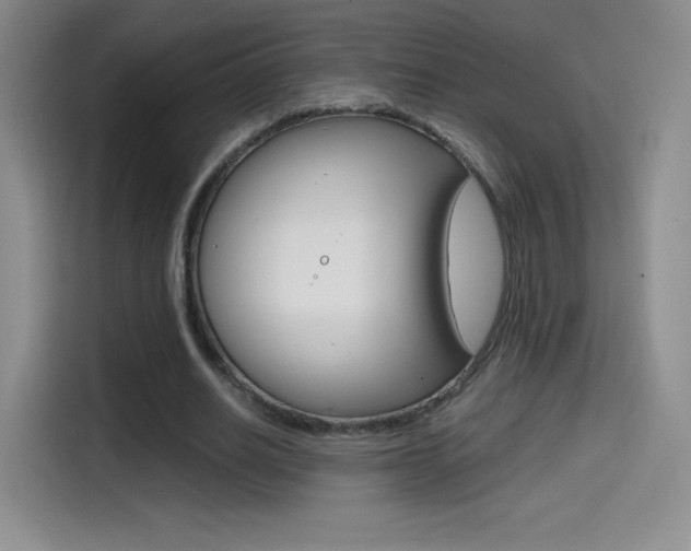 X0000114600630200910191055