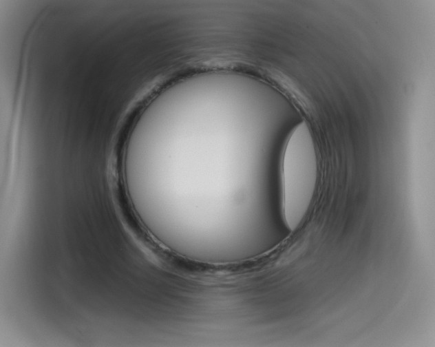 X0000114600634200910191055