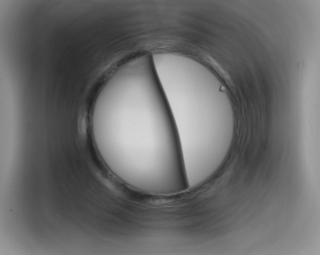 X0000114600637200910191055