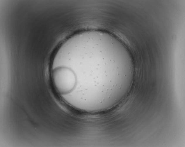 X0000114600638200910191055
