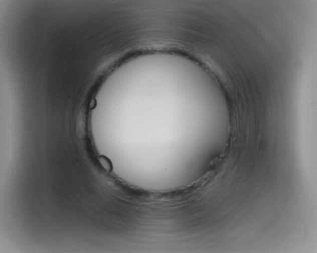 X0000114600640200910191055