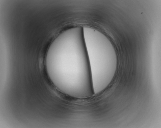 X0000114600641200910191055