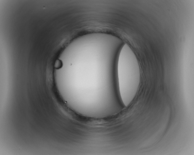 X0000114600642200910191055