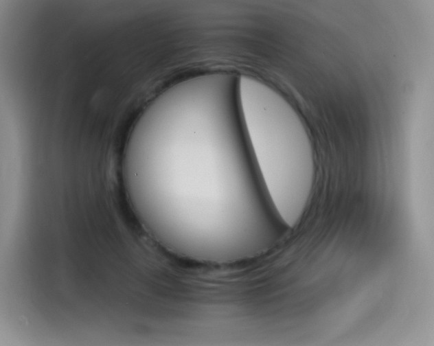 X0000114600643200910191055