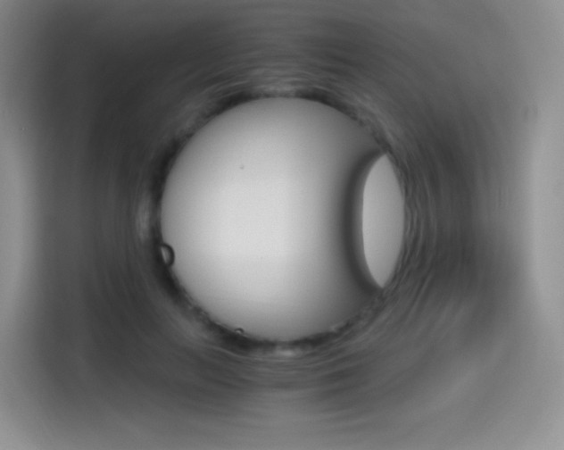 X0000114600647200910191055