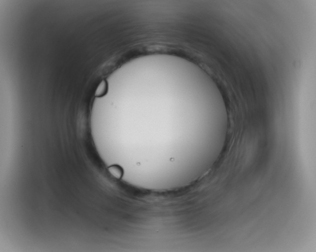 X0000114600648200910191055