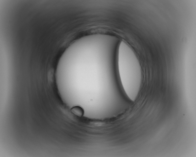 X0000114600649200910191055